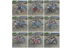 DIY bicycles - adult